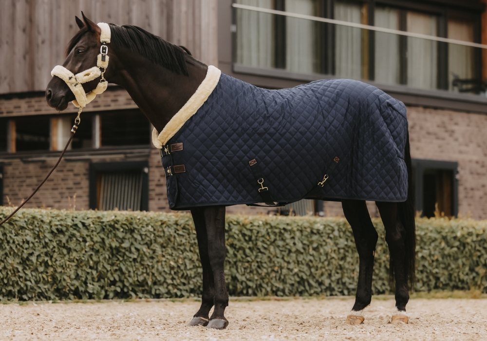 Kentucky Dækkener Kentucky Dækkener